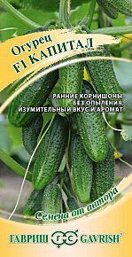 О Капитал Гавриш 