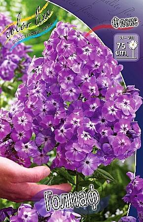 5599 Флокс Голиаф 2шт/1шт