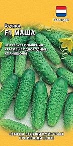 О Маша Гавриш