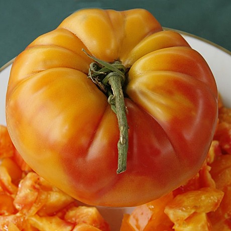 Т Армянский желтый 5шт Садовита