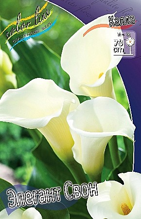 2018 Калла Элегант Свон 2шт/1шт