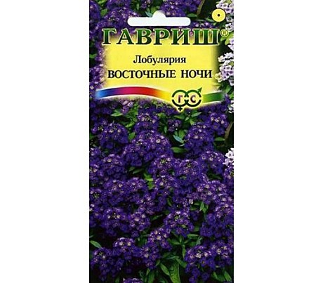 Ц Лобулярия Восточные ночи Гавриш