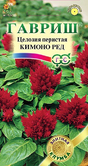 Ц Целозия Кимоно Ред перистая  Гавриш