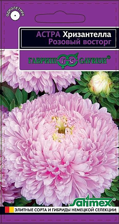 Ц А Хризантелла Розовый восторг Гавриш