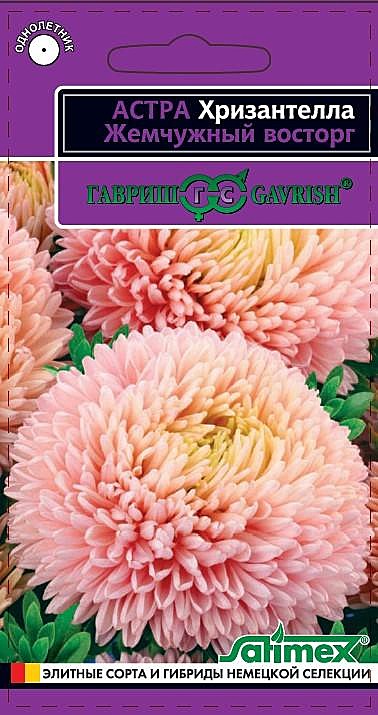 Ц А Хризантелла Жемчужный восторг Гавриш