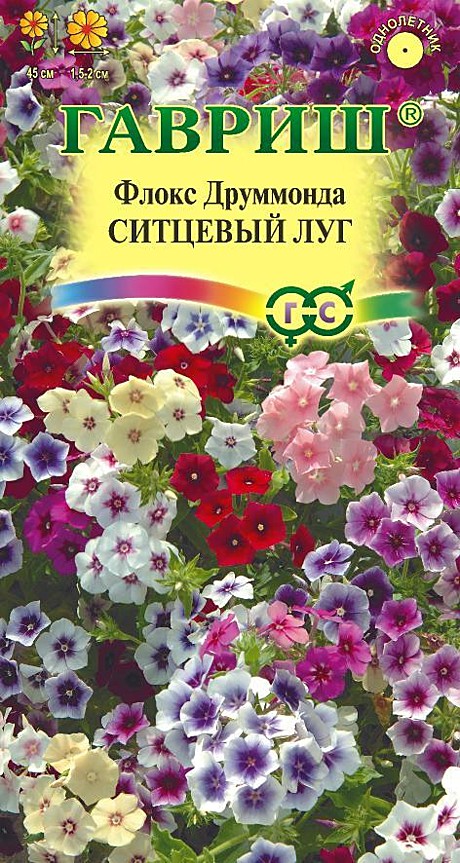 Ц Флокс Ситцевый луг Гавриш