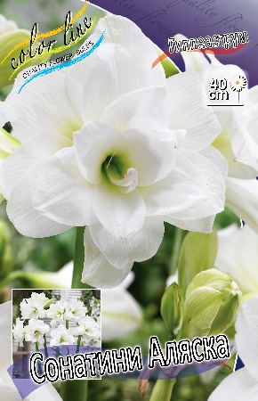 Изображение товара