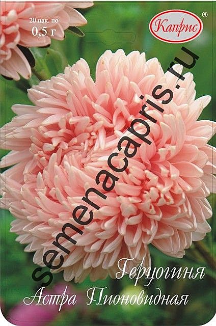 Ц А Герцогиня (20/1шт) Каприс