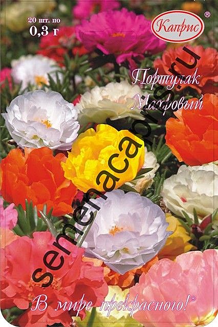Ц Портулак Княжеский коврик смесь (20/1шт) 0,3г Каприс