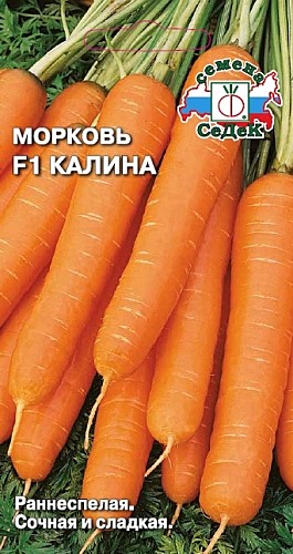 М Китайская красавица Седек