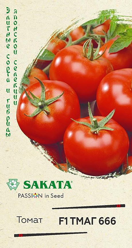 Т ТМАГ 666 Гавриш /Саката/