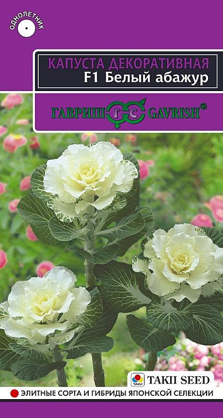 Ц Капуста Белый абажур Гавриш