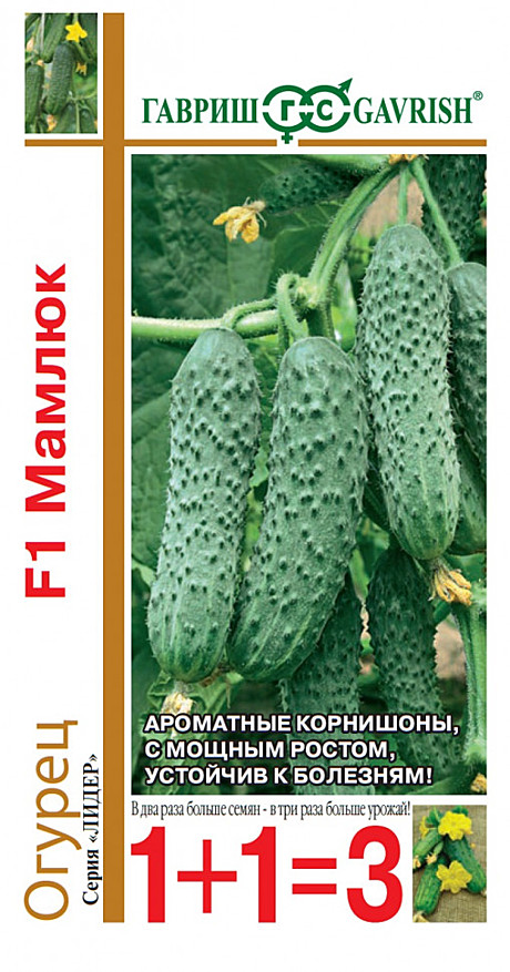 О Мамлюк 1+1 Гавриш