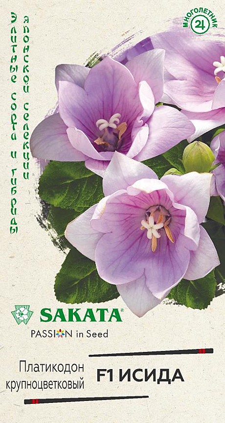 Ц Платикадон Исида Гавриш