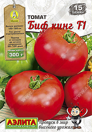 Т БИФ Кинг  Аэлита