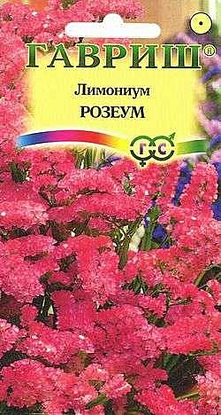 Ц Лимониум Розеум супербум  Гавриш