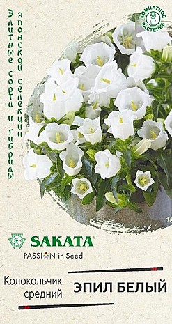 Ц Колок Эпил белый Гавриш