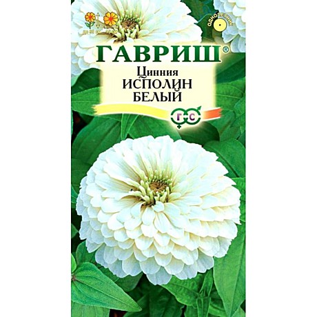 Ц Цинния Исполин белый Гавриш