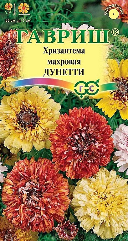 Ц Хриз Дунетти махровая  Гавриш