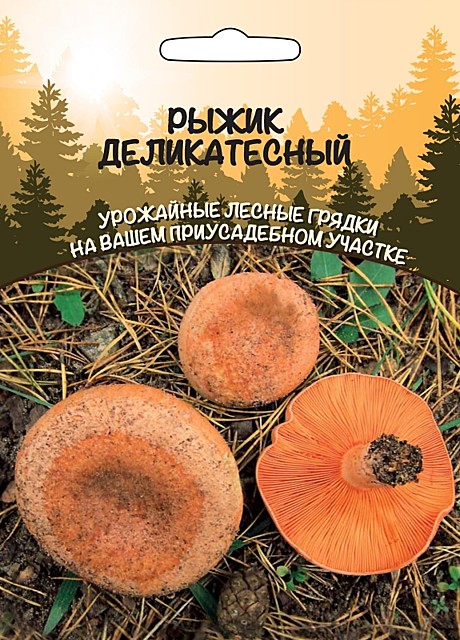 Рыжик Деликатесный УД