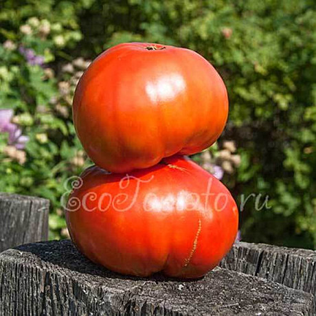 Т Нужный размер  НК