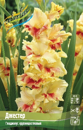 Изображение товара