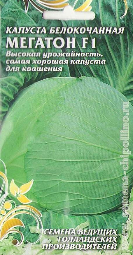 К Мегатон 10шт Чиполлино