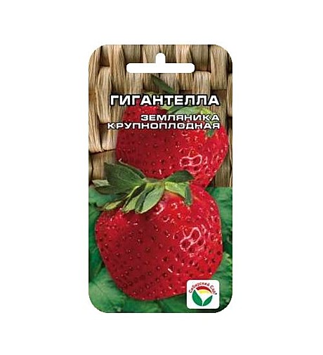 Ягода /семена/