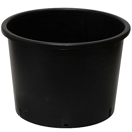 Контейнер 40х31 (35л) твердый АМИНА