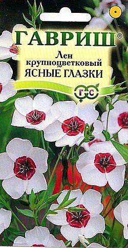 Ц Лен Ясные глазки крупноцветковый Гавриш