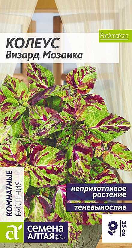 Ц Колеус Визард Мозаика Семена Алтая 