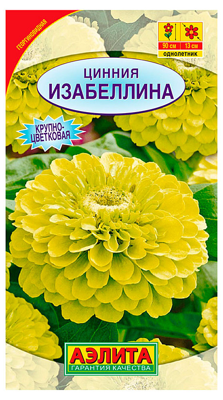 Ц Цинния Изабеллина георгин. Аэлита