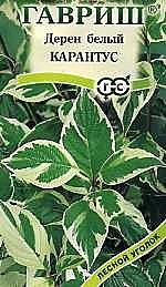 Ц Дерен белый Карантус Гавриш