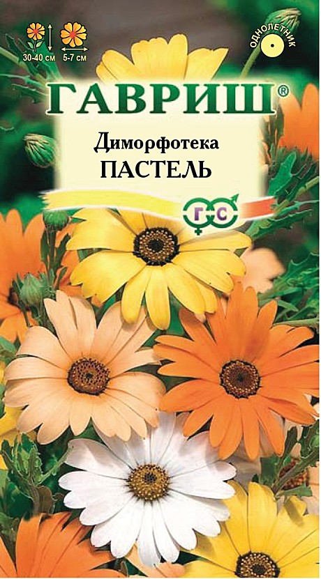 Ц Диморфотека Пастель смесь Гавриш