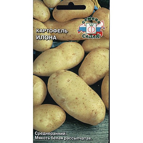 Ф Картофель Илона Седек