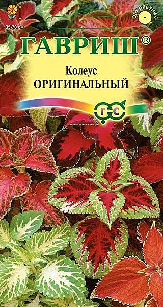 Ц Колеус Оригинальная смесь  Гавриш