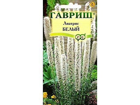 Ц Лиатрис Белый Гавриш