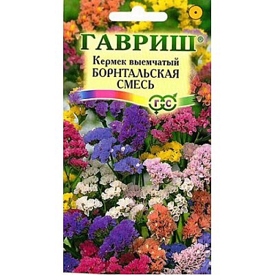 Ц Лимониум Борнтальская смесь Гавриш