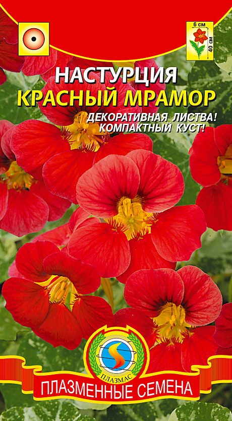 Ц Настурция Красный мрамор Плазма