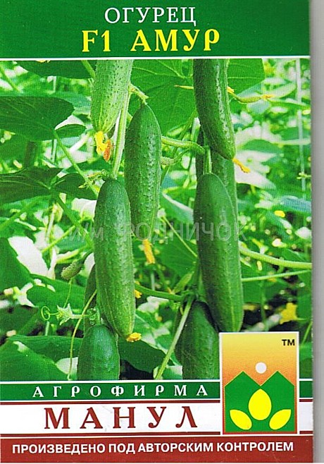 О Амур Манул