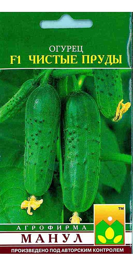 О Чистые пруды Манул 