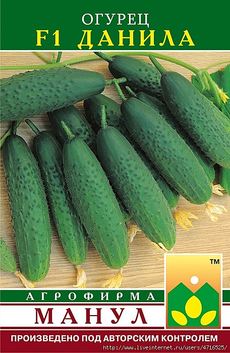 О Данила Манул