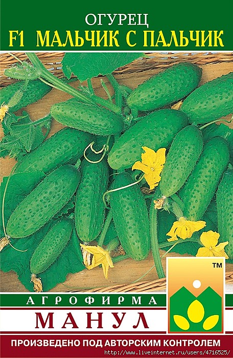 О Мальчик с пальчик Манул