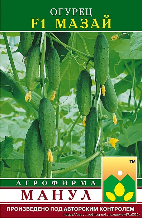 О Мазай  Манул