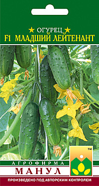 О Мл.Лейтенант Манул 