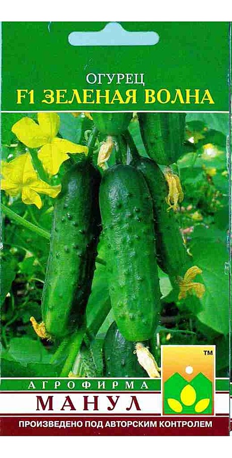 О Зеленая волна  Манул