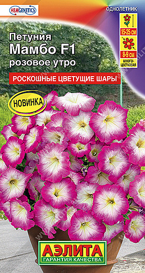 Ц П Мамбо розовое утро Аэлита