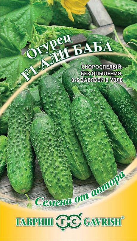 О Али-Баба Гавриш 