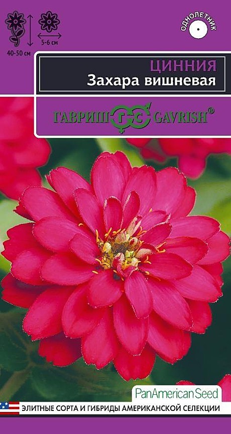 Ц Цинния Захара вишневая Гавриш