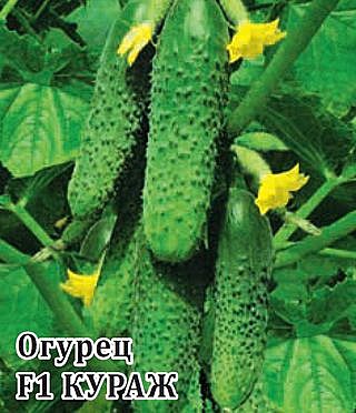 Огурец Кураж 250шт Гавриш 